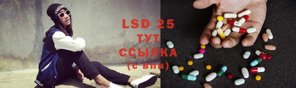 PSILOCYBIN Каменногорск