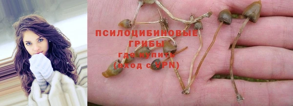 PSILOCYBIN Каменногорск