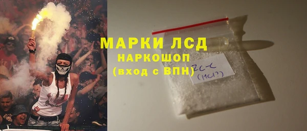 PSILOCYBIN Каменногорск