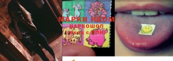 PSILOCYBIN Каменногорск