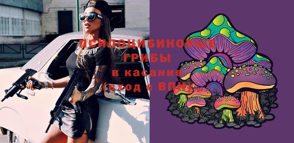 PSILOCYBIN Каменногорск