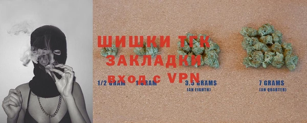 прущий лед Каменка