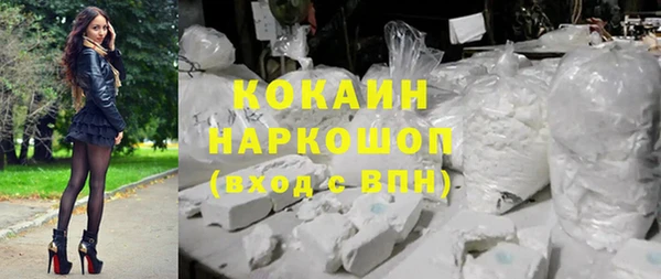 прущий лед Каменка