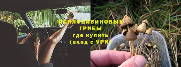 PSILOCYBIN Каменногорск