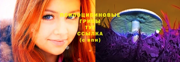 прущий лед Каменка