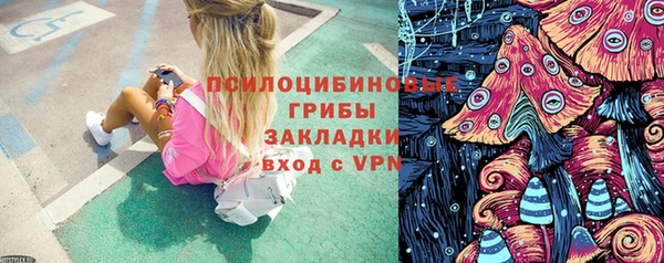прущий лед Каменка
