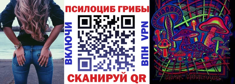 где найти   Пугачёв  Псилоцибиновые грибы ЛСД 